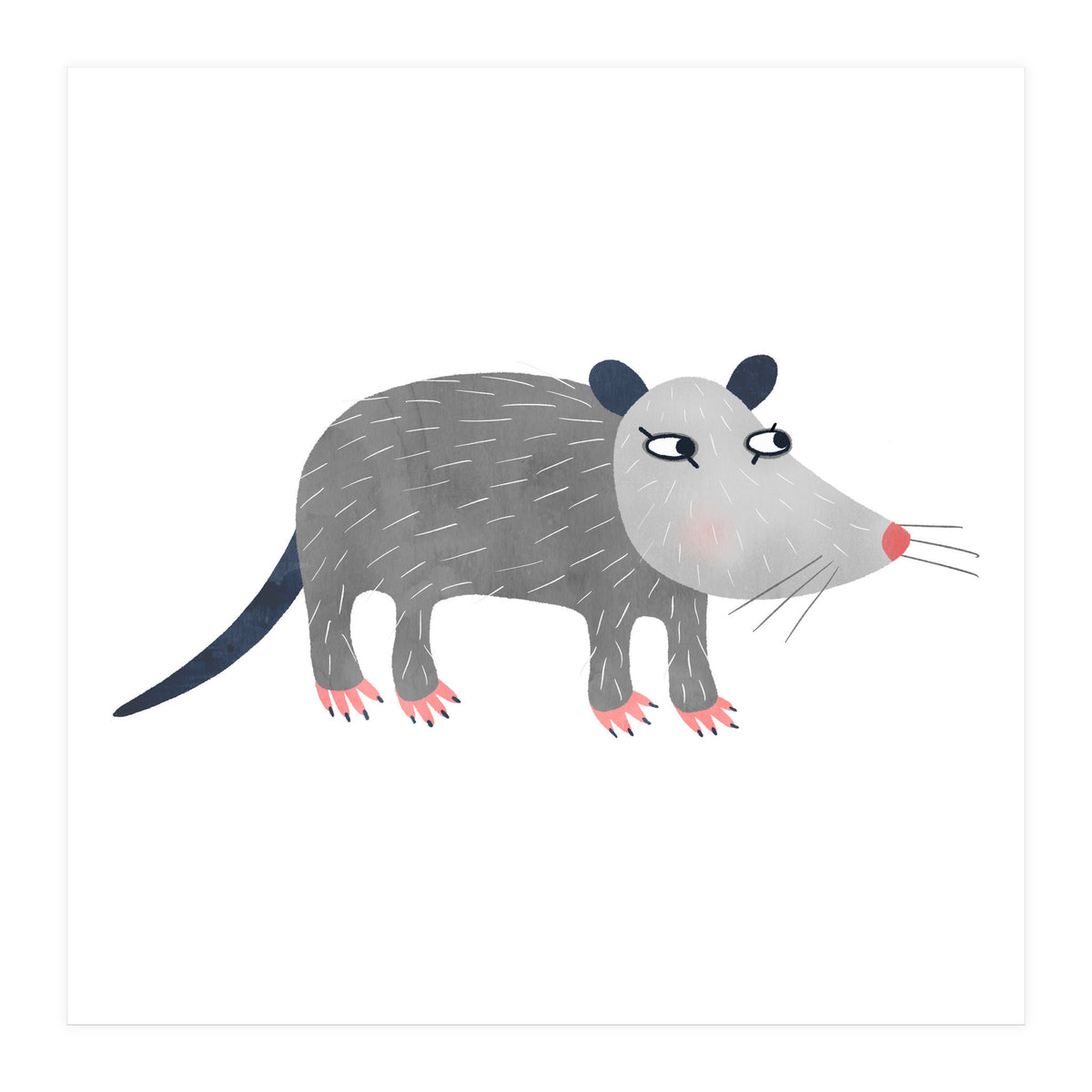 Possum (Print Only)