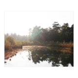 Bog (Print Only) thumbnail