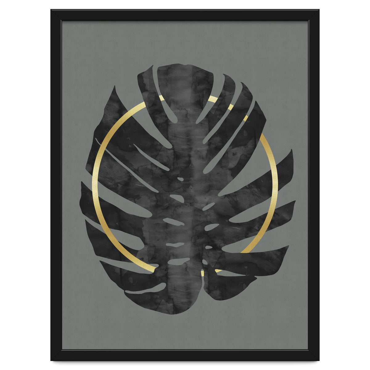 Monstera Deliciosa I