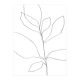 Seven Leaf Plant (Print Only) thumbnail