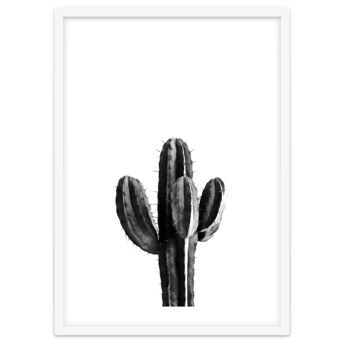 Cactus Black And White 03