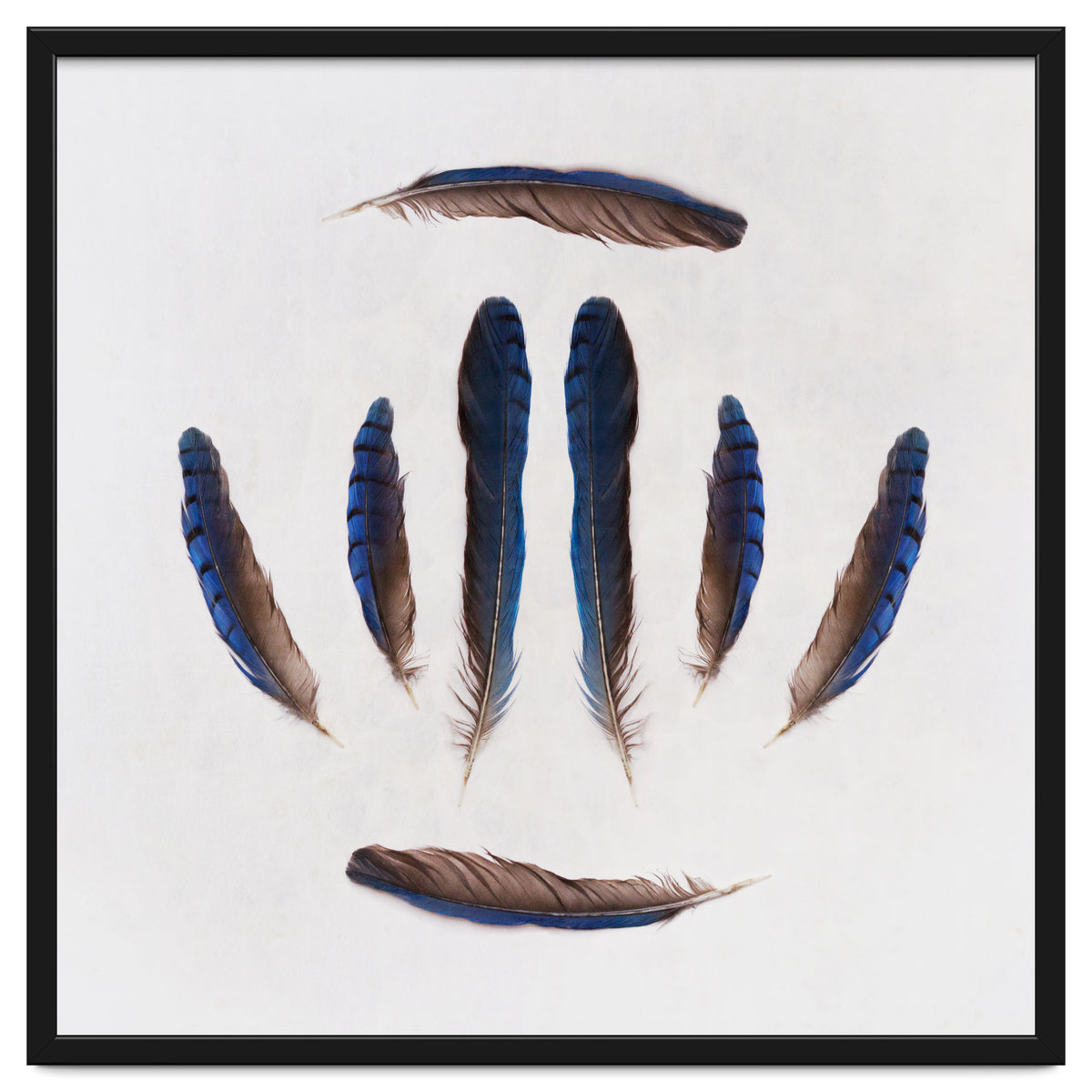 Forgive Me For Forgetting