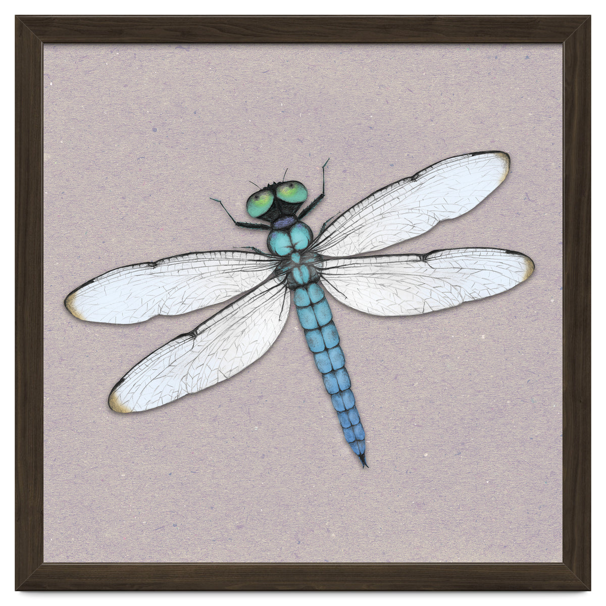 Blue dragonfly