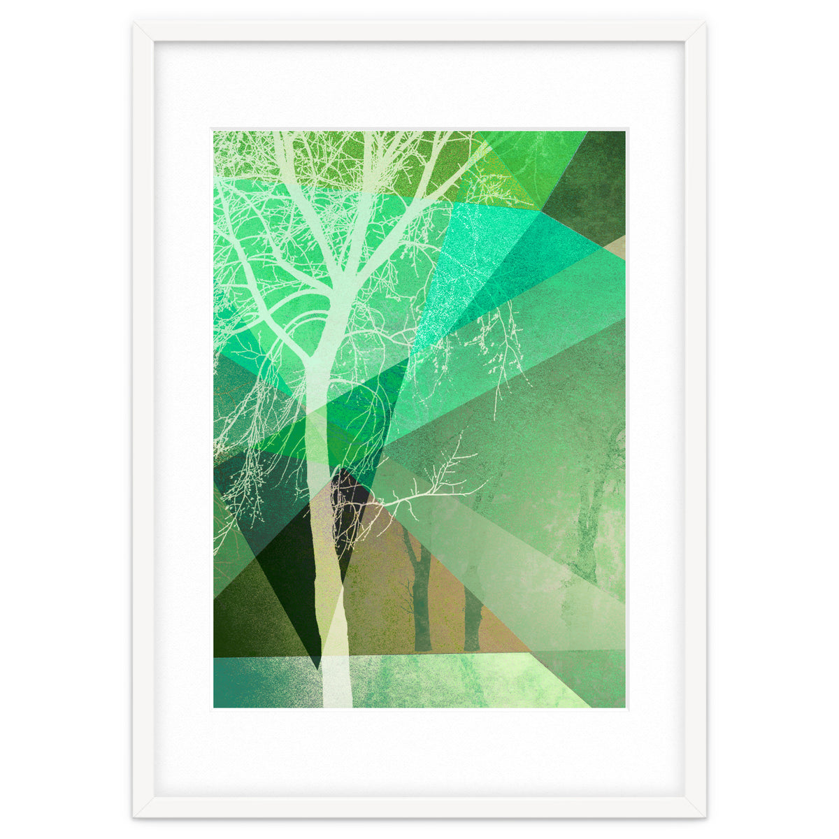 P22 B Trees And Triangles