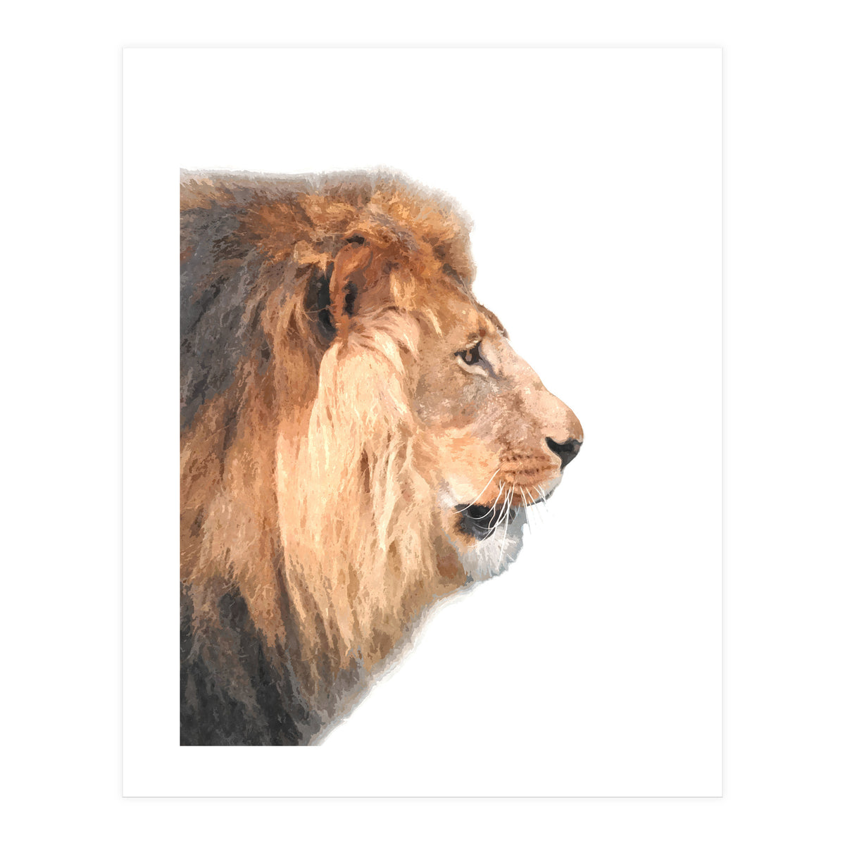 Lion Profile (Print Only)