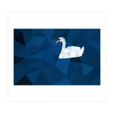 Swan In Water Artwork (Print Only) thumbnail