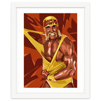 Hulk Hogan WWE