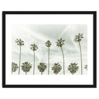 CALIFORNIA Vintage Palm Trees