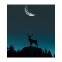 Wild Nature - Nocturne (Print Only)