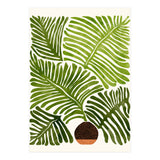 Modern Fern (Print Only) thumbnail