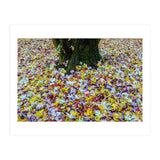 Autumn Leaves (Print Only) thumbnail