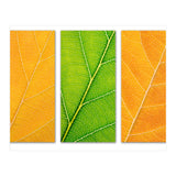 Autumn Leaves (Print Only) thumbnail