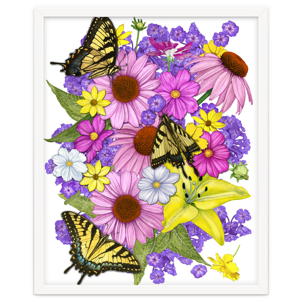Corn Flowers and Swallowtails