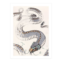 Dream Snake (Print Only)