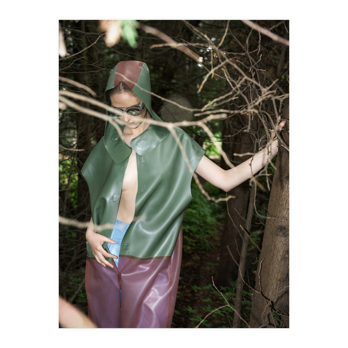 Camouflaged Animals (Print Only)