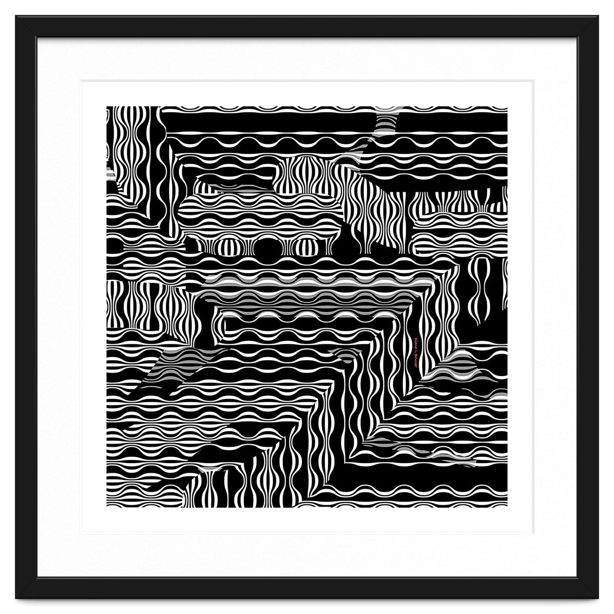 BLACK AND WHITE EXOTIC