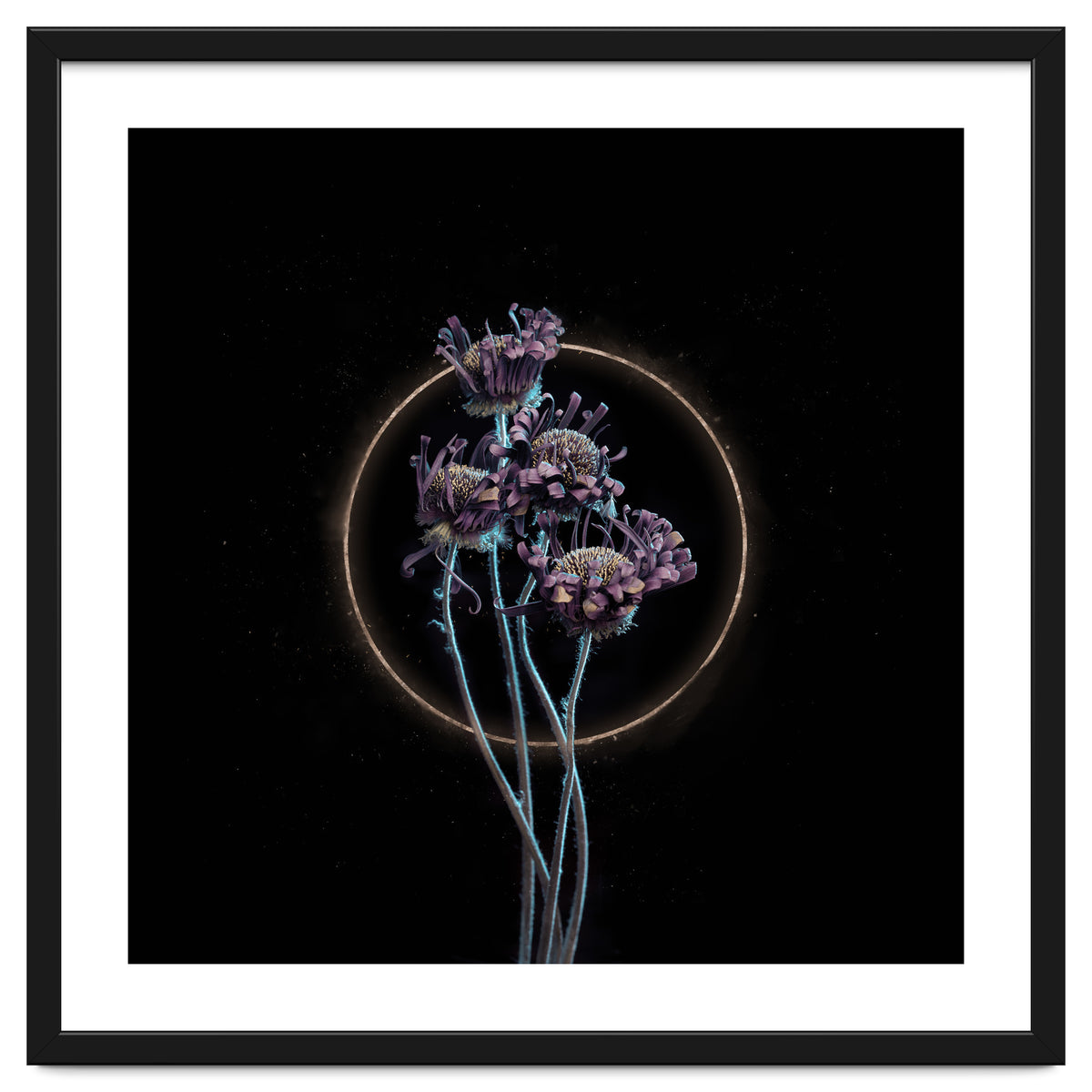 Candy-Coloured Mystery