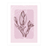 Magnolia Simple Minimal Geometric - Boho Botanical Leave (Print Only) thumbnail