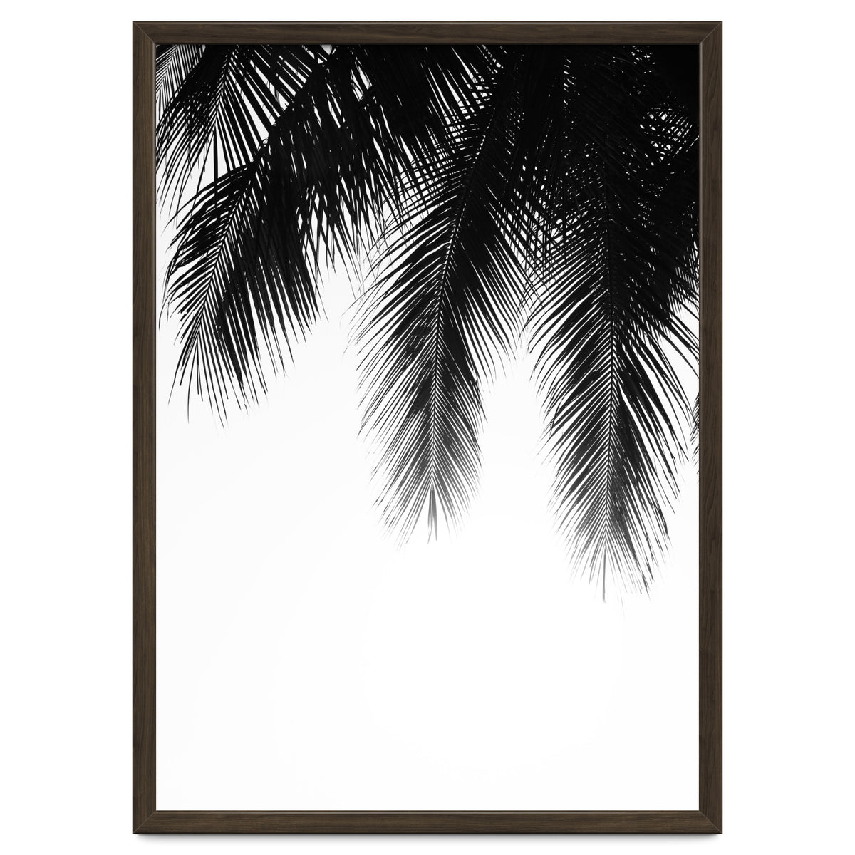 Palm leaves