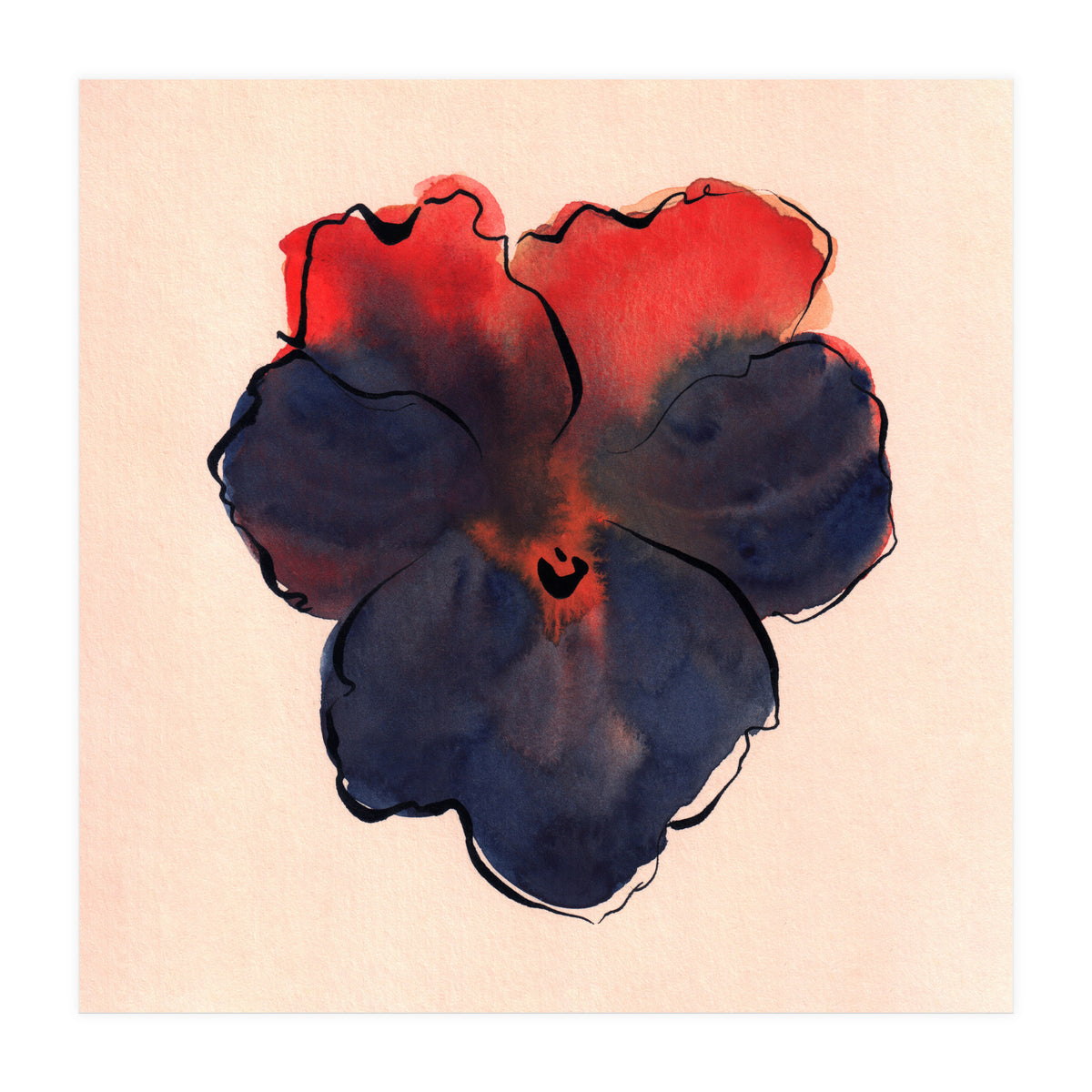 Blue Pansy (Print Only)