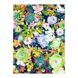 Watercolor Succulents (Print Only) thumbnail