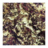 Surface Preparation (Print Only) thumbnail