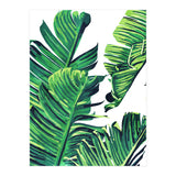 Banana Tree Leaves (Print Only) thumbnail