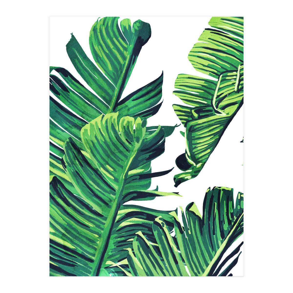 Banana Tree Leaves (Print Only)