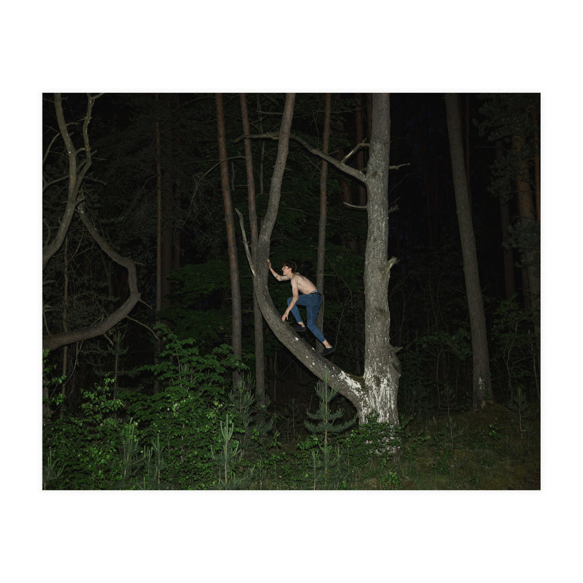 Night Crawler (Print Only)