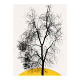 Dark Feather Tree (Print Only) thumbnail