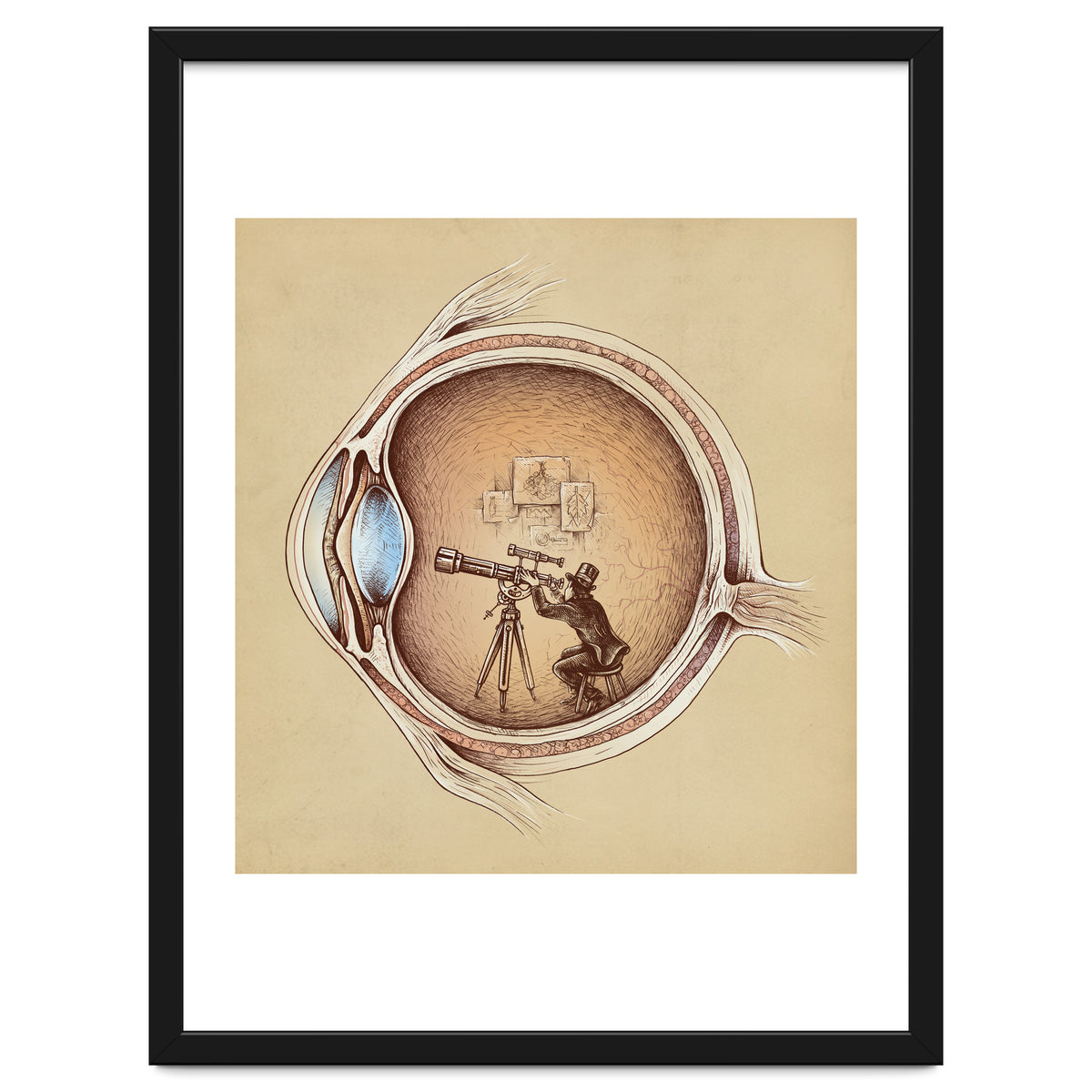 Extraordinary Observer