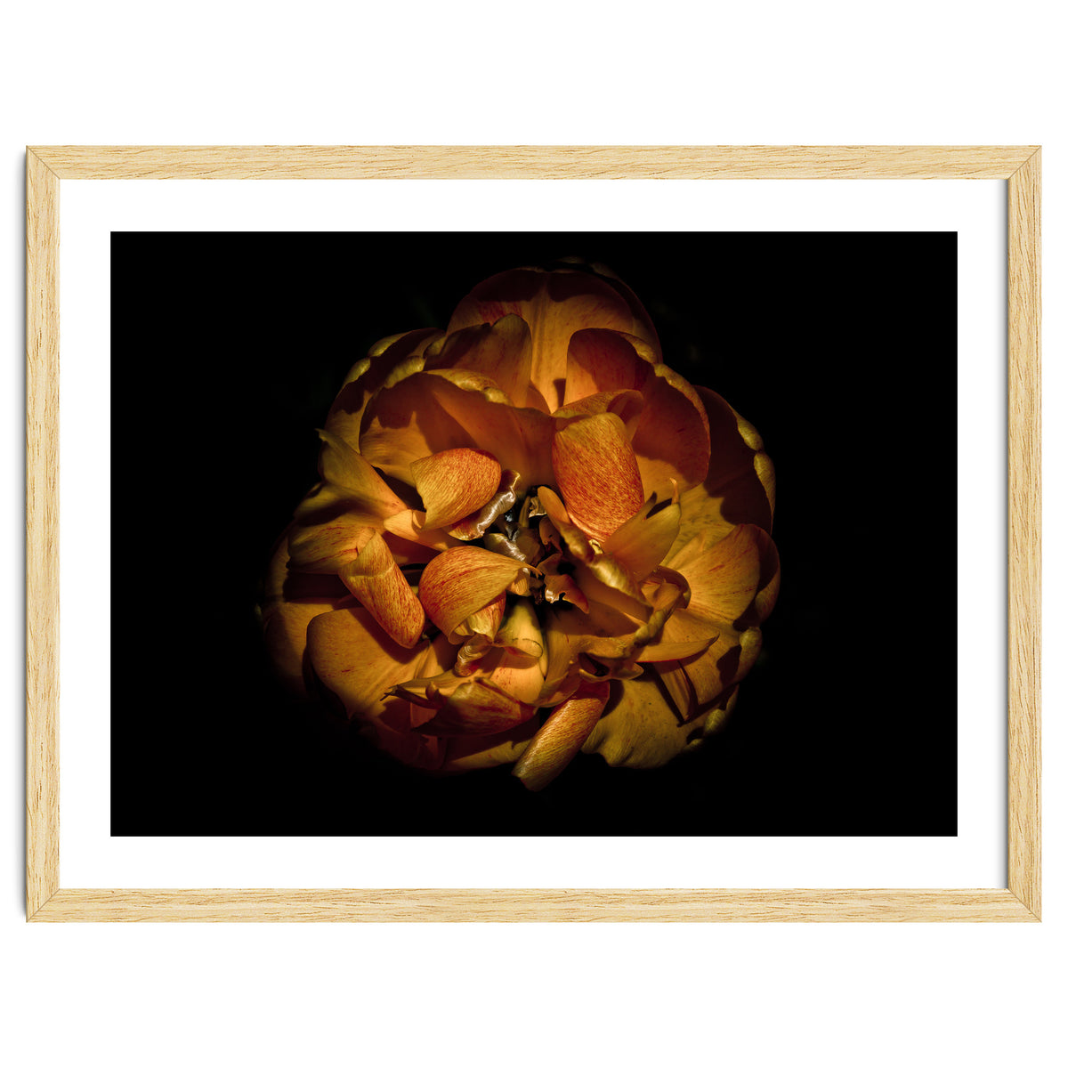 Backyard Flowers No 80 Color Version