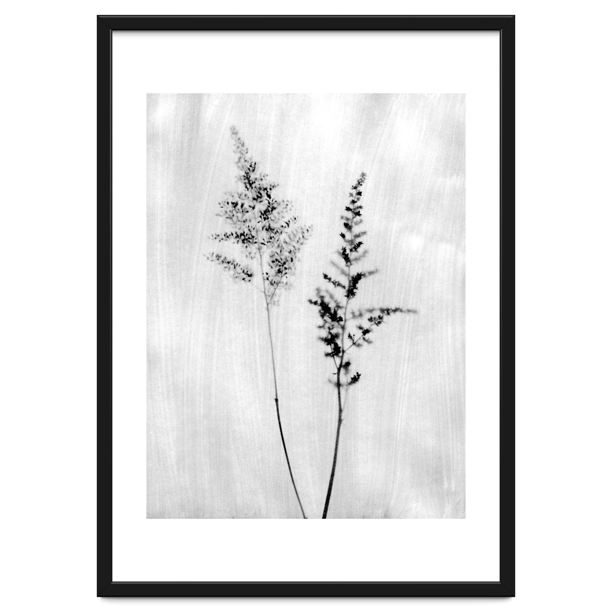 Delicate Wildflowers