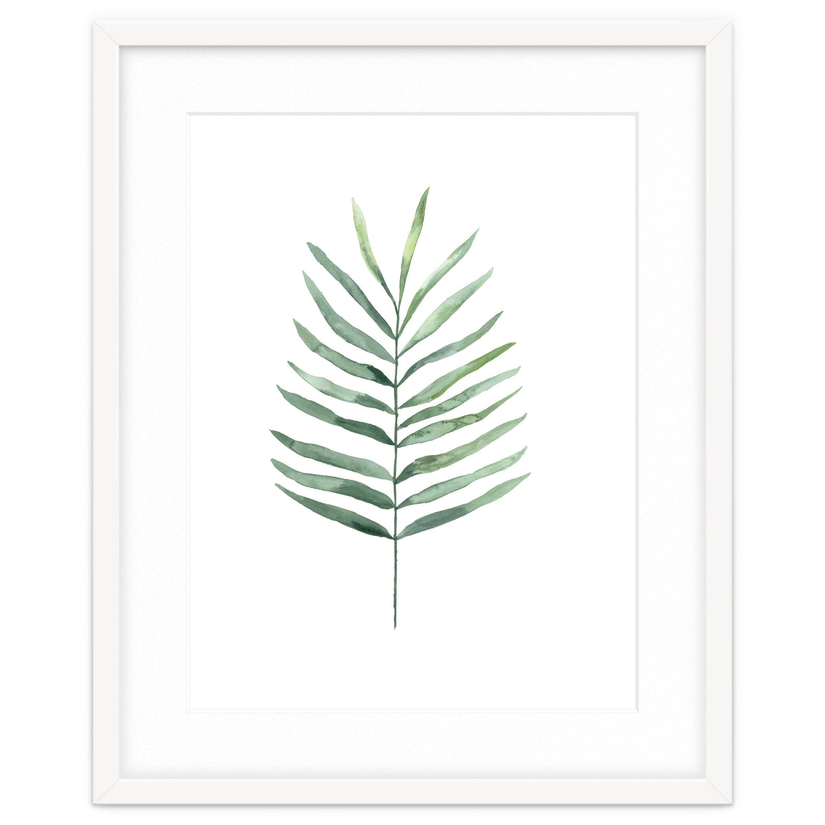 Botanical Illustration Fern
