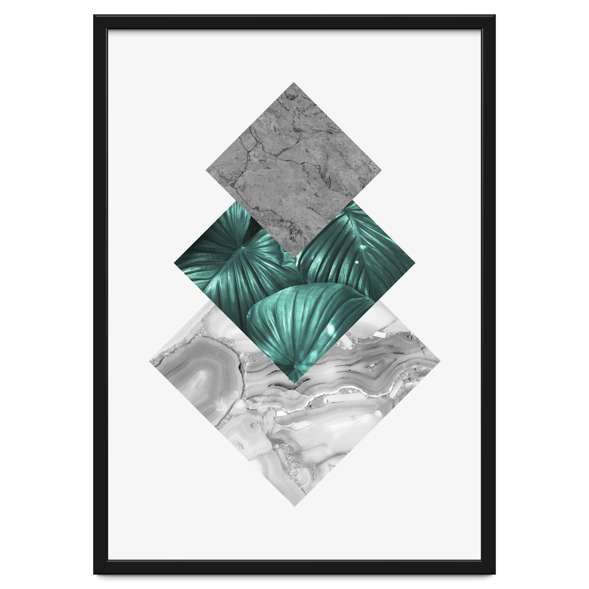 Botanical and geometric V