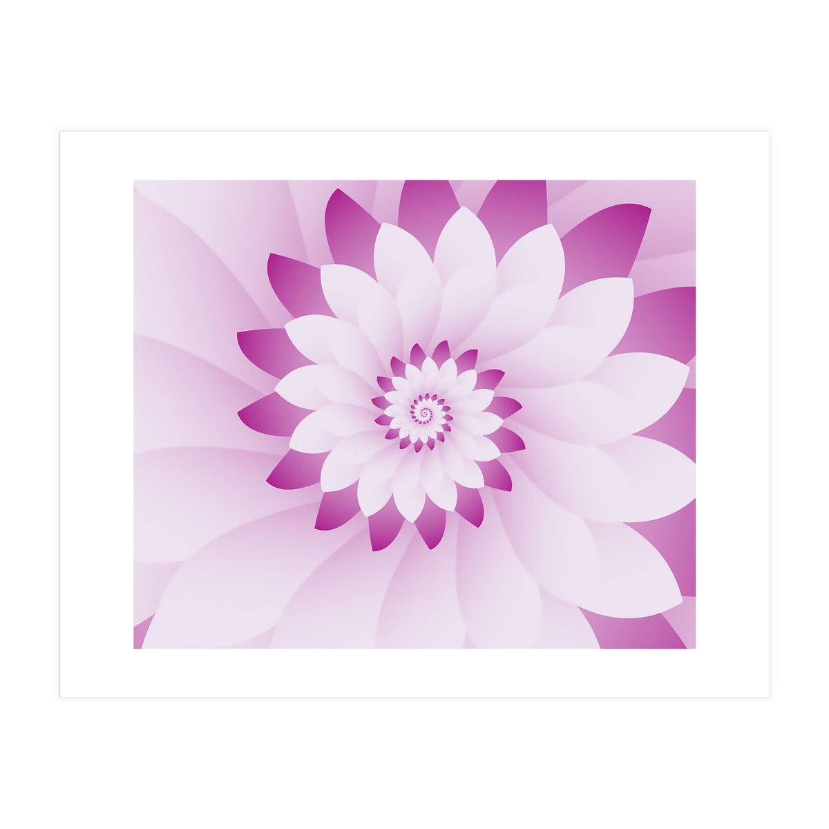 Abstract Pink & White Floral Design  (Print Only)