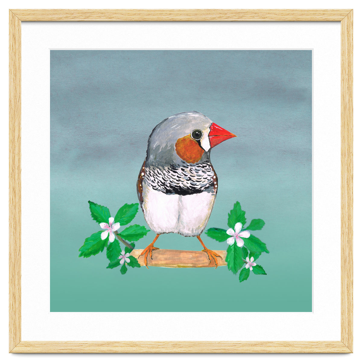 Zebra finch