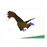 American Bald Eagle (Print Only) thumbnail