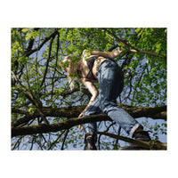 Tree Climber (Print Only)