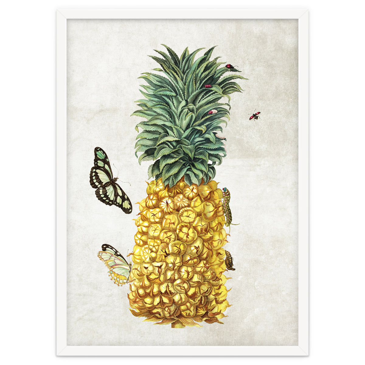 ananas