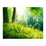 Nature (Print Only) thumbnail