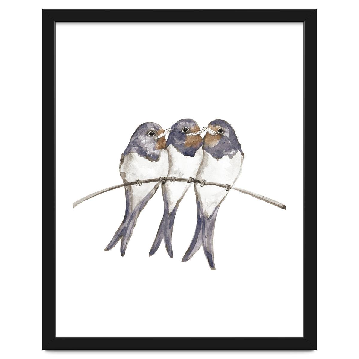 Three young swallows