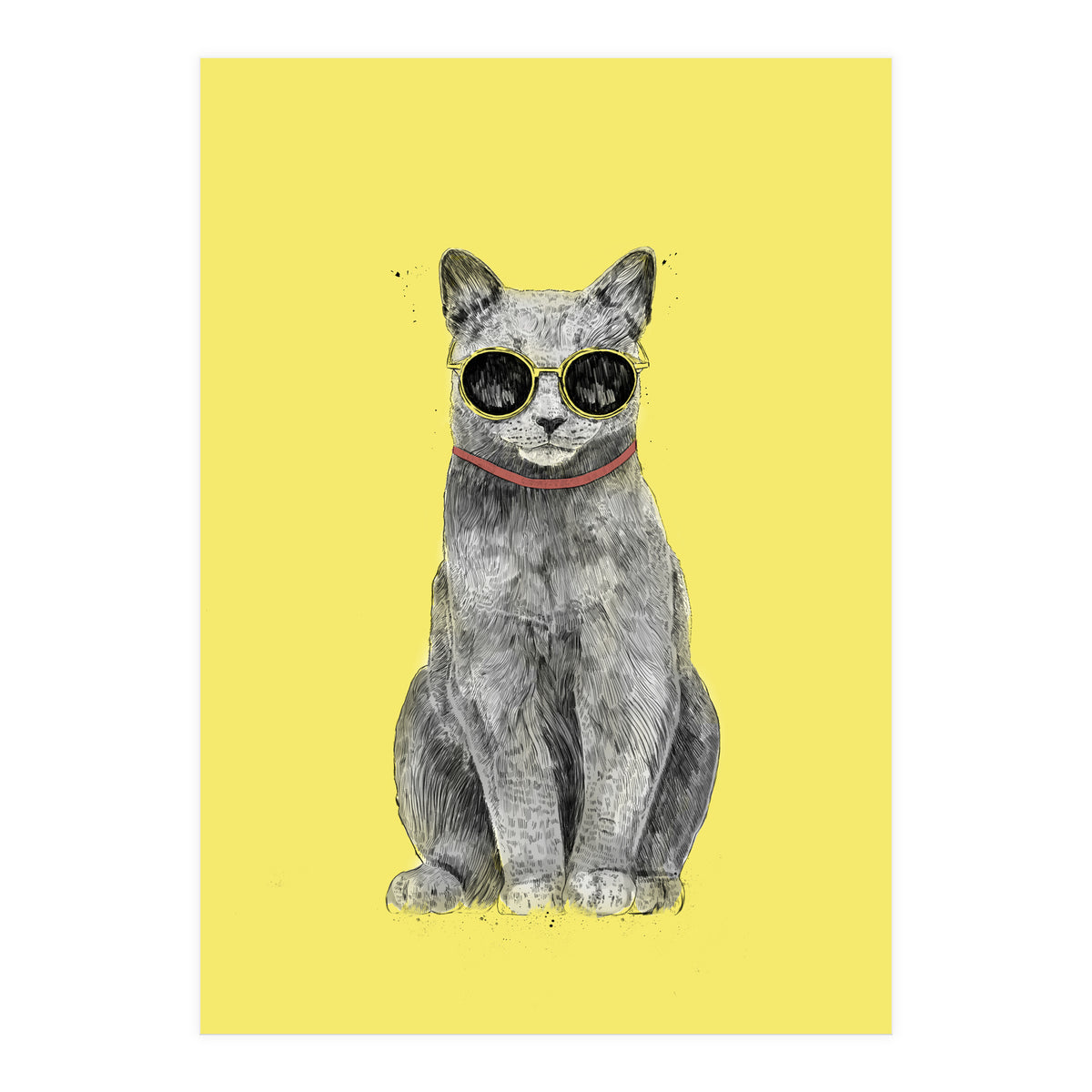Summer Cat (Print Only)