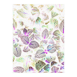 Nature Glow (Print Only) thumbnail