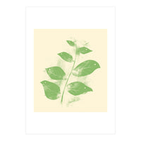Flying Leaves (Print Only)