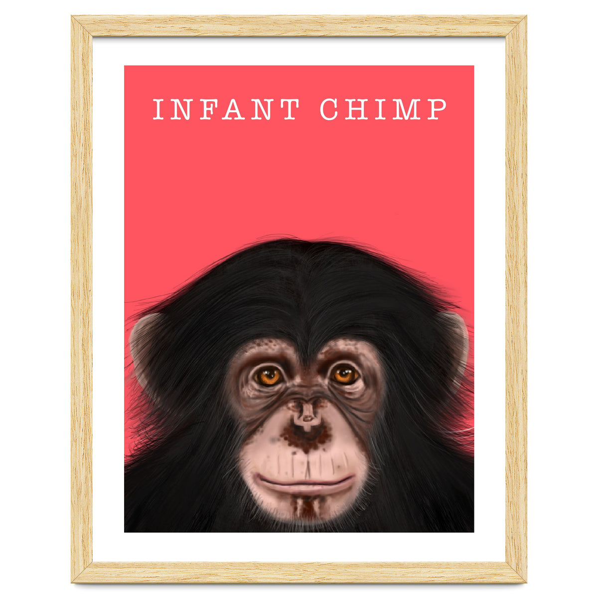 Infant Chimp