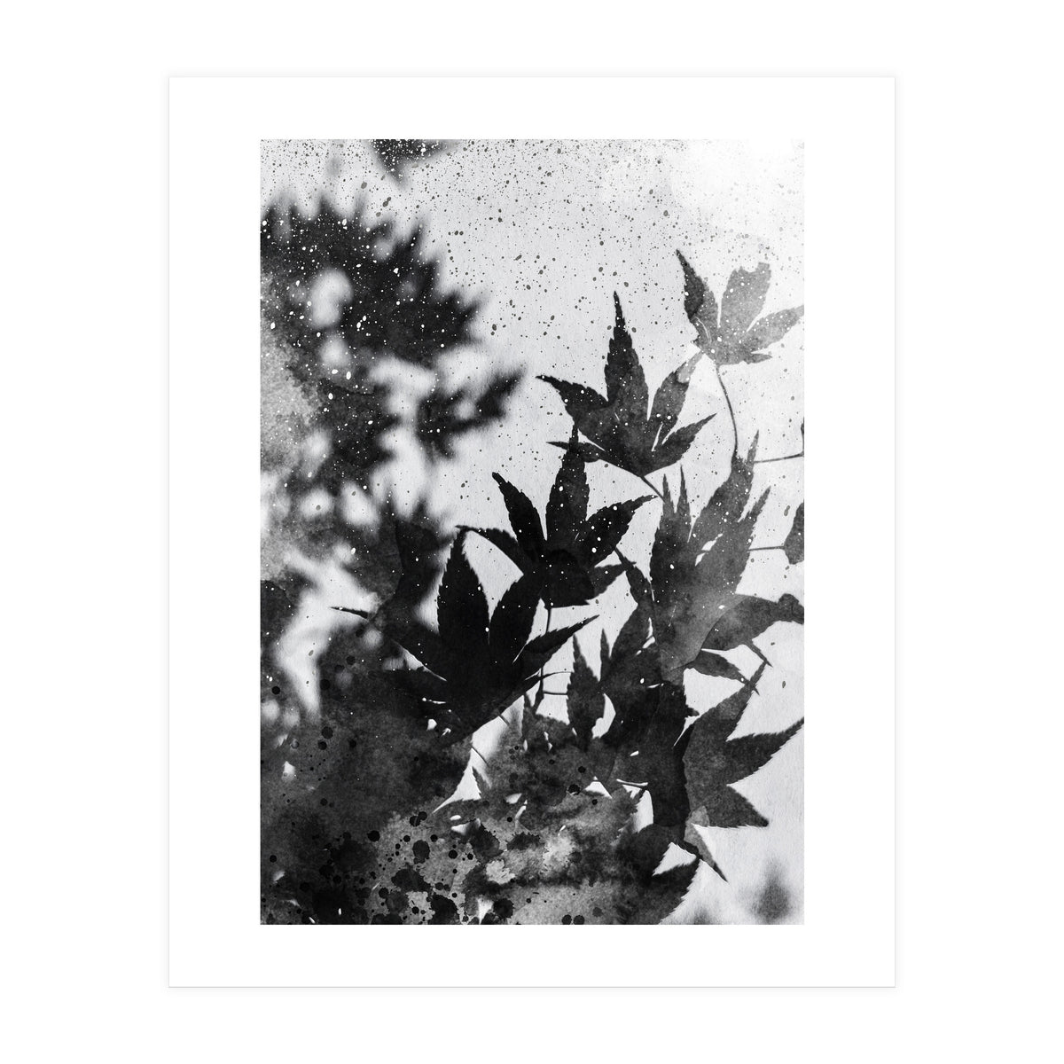 Leaves #2 (Print Only)