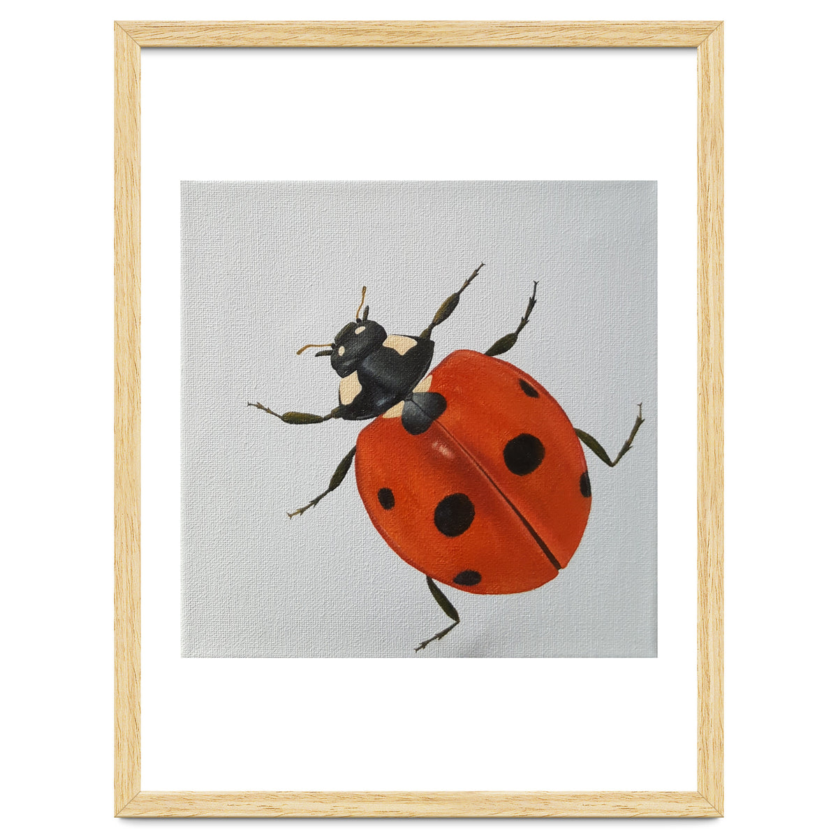 Ladybird