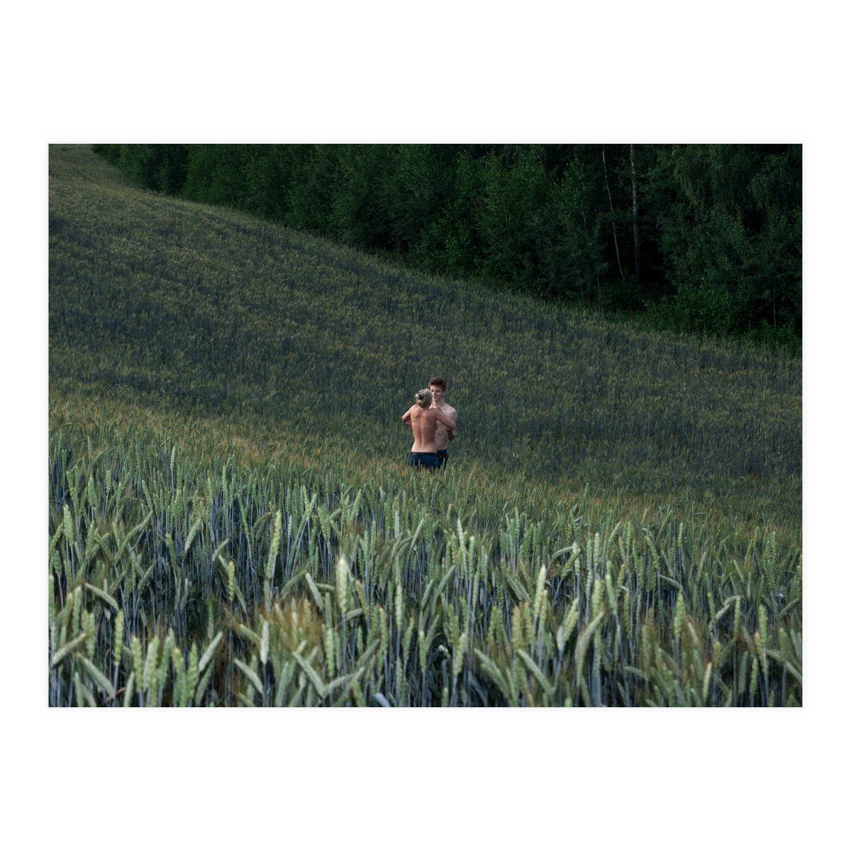 Endless Fields of Summer (Print Only)