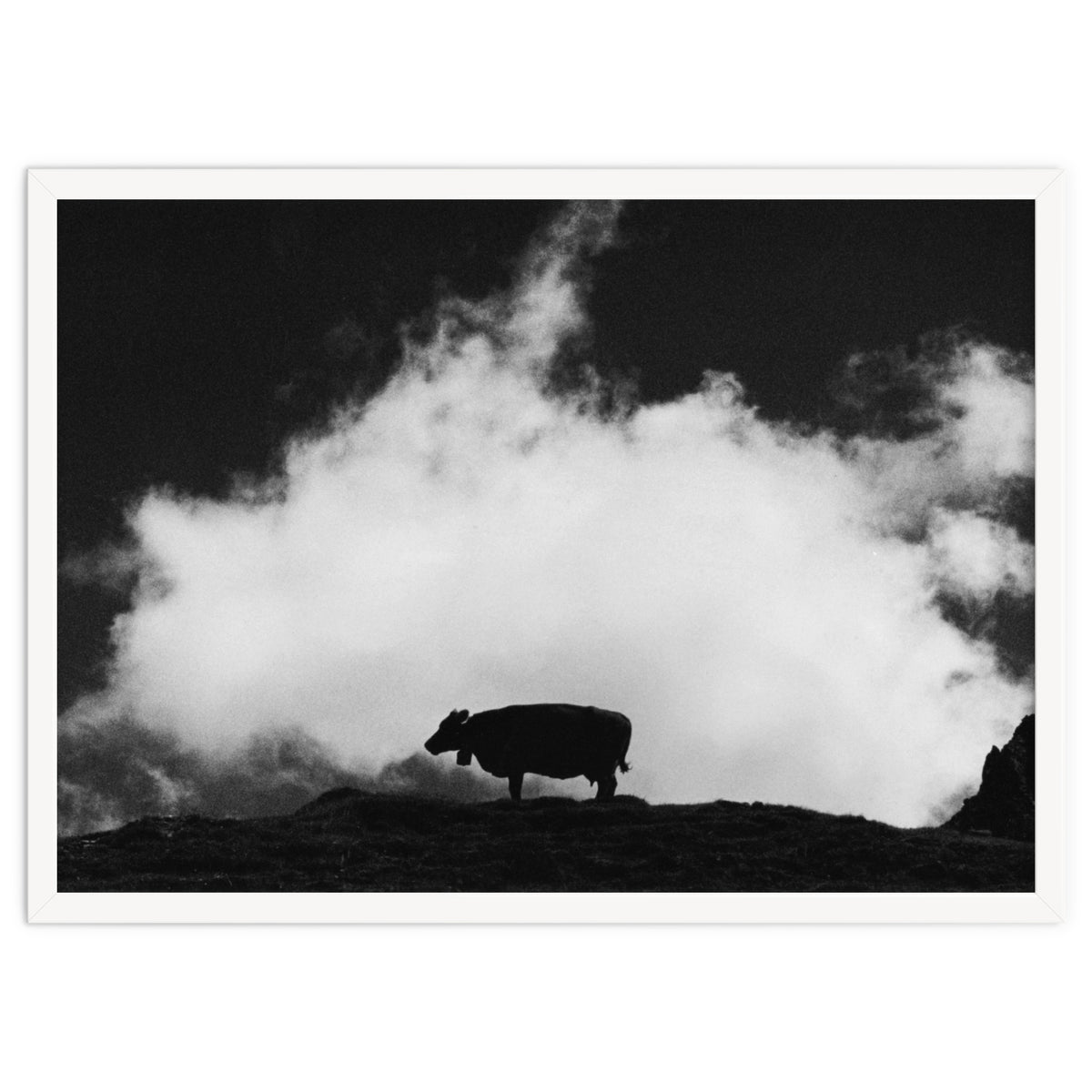 cow and cloud